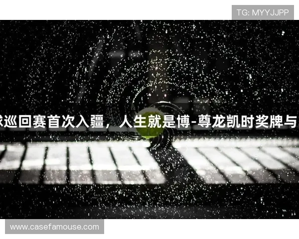 尊龙 人生就是博：如何在生活中把握每一次博弈的机会与挑战