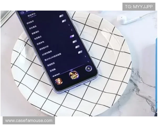 Z6平台的性能优化与未来升级路线展望