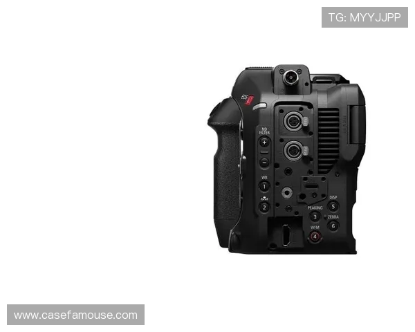 尊龙z6网娱乐app提供的丰富游戏资源和优质用户体验全面解析 尊龙z6网娱乐app提供的丰富游戏资源和优质用户体验全面解析