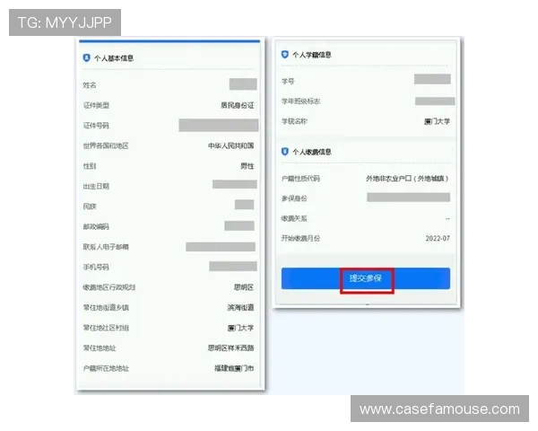 凯时线上官方入口全面解析，提供最全的登录指南与常见问题解决方案