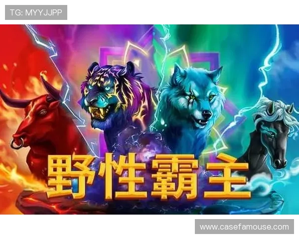 Z6尊龙手机版最新版本下载安装指南，全面提升您的游戏体验