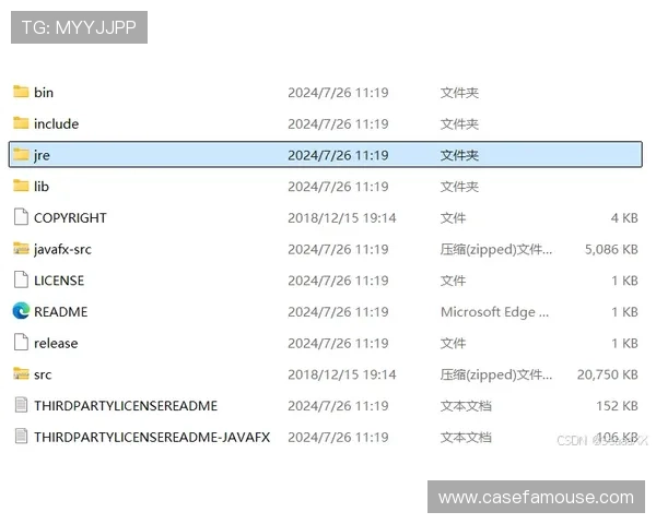 凯时官网下载流程详解，快速下载安装步骤全方位指导